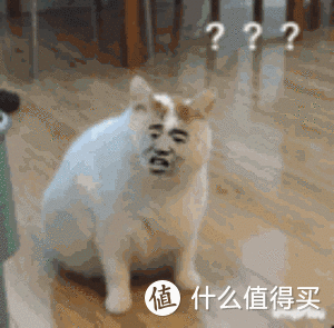 铲屎官注意!猫狗如何避开这些饮食雷区,看这一篇就够了。